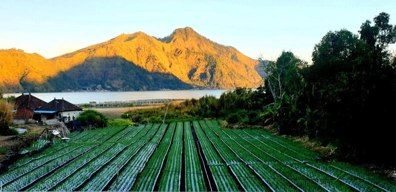 Volcano Lake View Kintamani Dış mekan fotoğraf