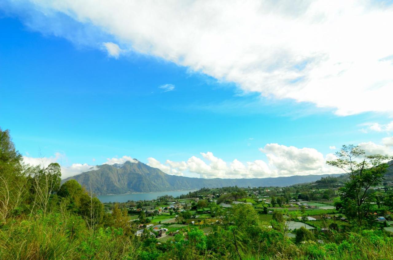 Volcano Lake View Kintamani Dış mekan fotoğraf